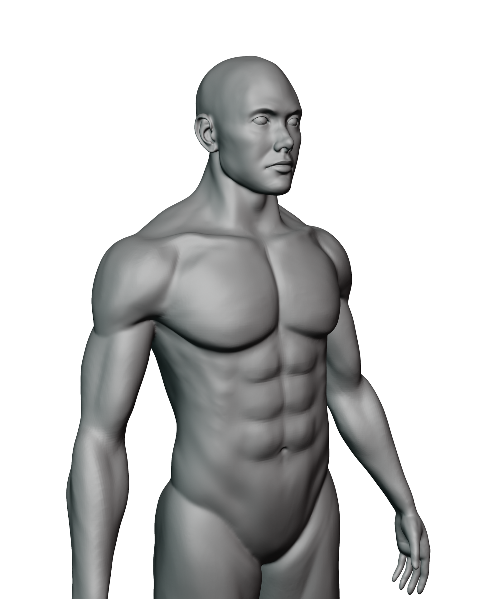 اسکالپت آناتومی